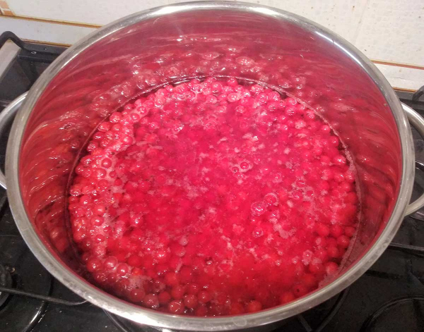 Желе из красной смородины Желе из красной смородины