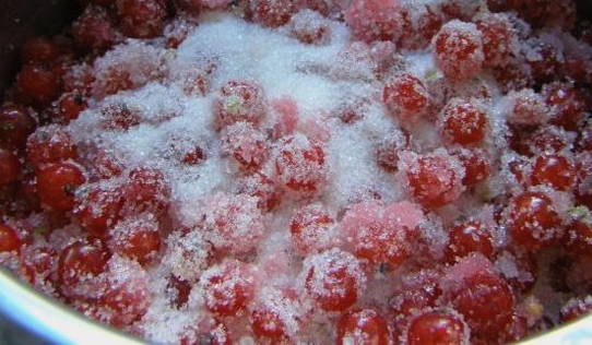 Простое желе из красной смородины на зиму Простое желе из красной смородины на зиму