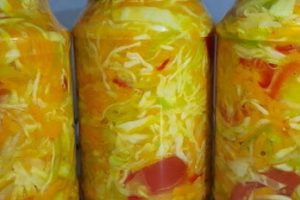 Салат из капусты с морковью и болгарским перцем на зиму