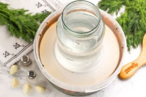 Засолка шампиньонов холодным способом Засолка шампиньонов холодным способом
