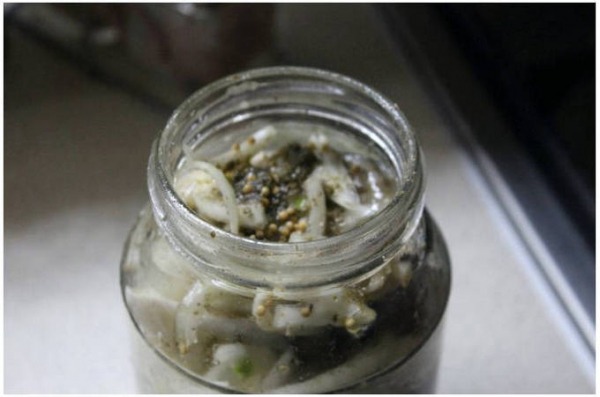 Малосольная скумбрия Малосольная скумбрия