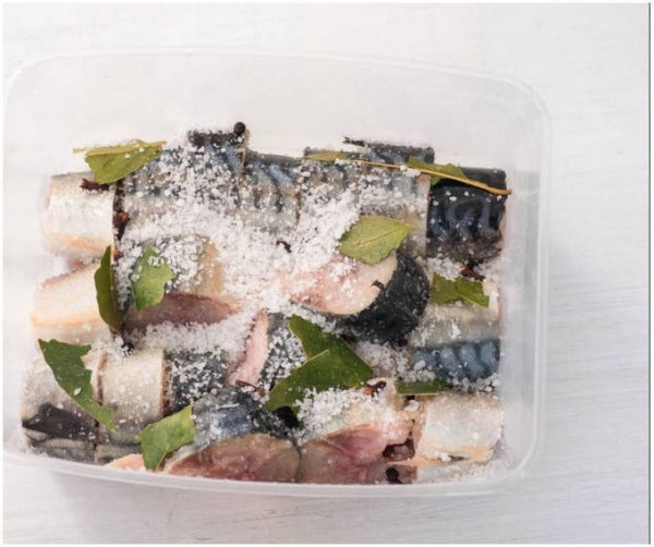 Малосольная скумбрия Малосольная скумбрия