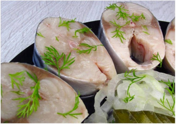Малосольная скумбрия Малосольная скумбрия