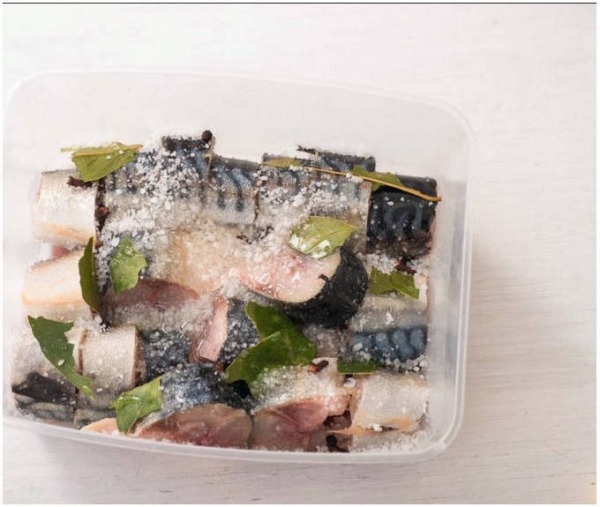 Малосольная скумбрия Малосольная скумбрия