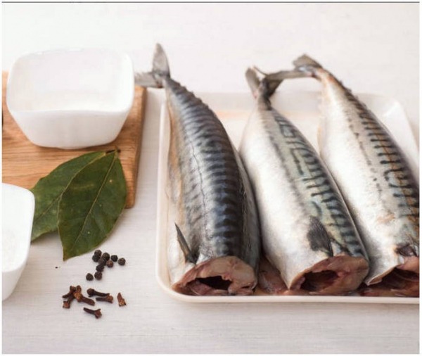 Малосольная скумбрия Малосольная скумбрия