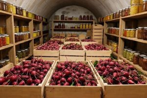 Как правильно хранить свеклу: эти советы помогут не «угробить» урожай и есть овощ до самой весны