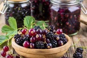 Крученая черная смородина на зиму
