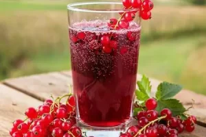 Морс из красной смородины на зиму