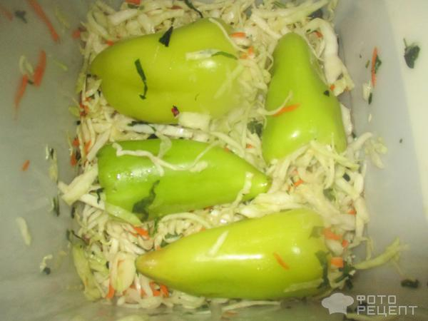 Рецепт: Квашеные перцы фаршированные капустой - быстрый рецепт Рецепт: Квашеные перцы фаршированные капустой - быстрый рецепт
