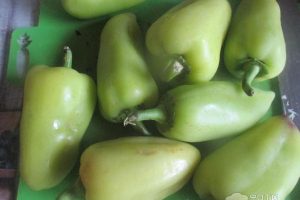 Рецепт: Квашеные перцы фаршированные капустой — быстрый рецепт