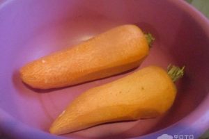 Рецепт: Салат из моркови с хреном — заправка из майонеза с хреном