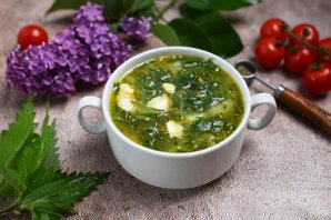 Борщ из крапивы